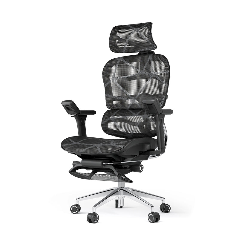 Ergoup Ergonomic Chair Computer Chair Office Boss Waist Gaming Chair Single Office Modern Poltrona Lounge Furniture