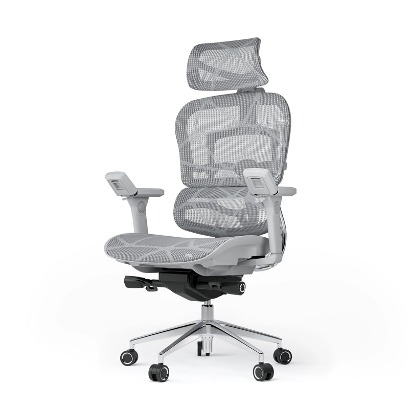 Ergoup Ergonomic Chair Computer Chair Office Boss Waist Gaming Chair Single Office Modern Poltrona Lounge Furniture
