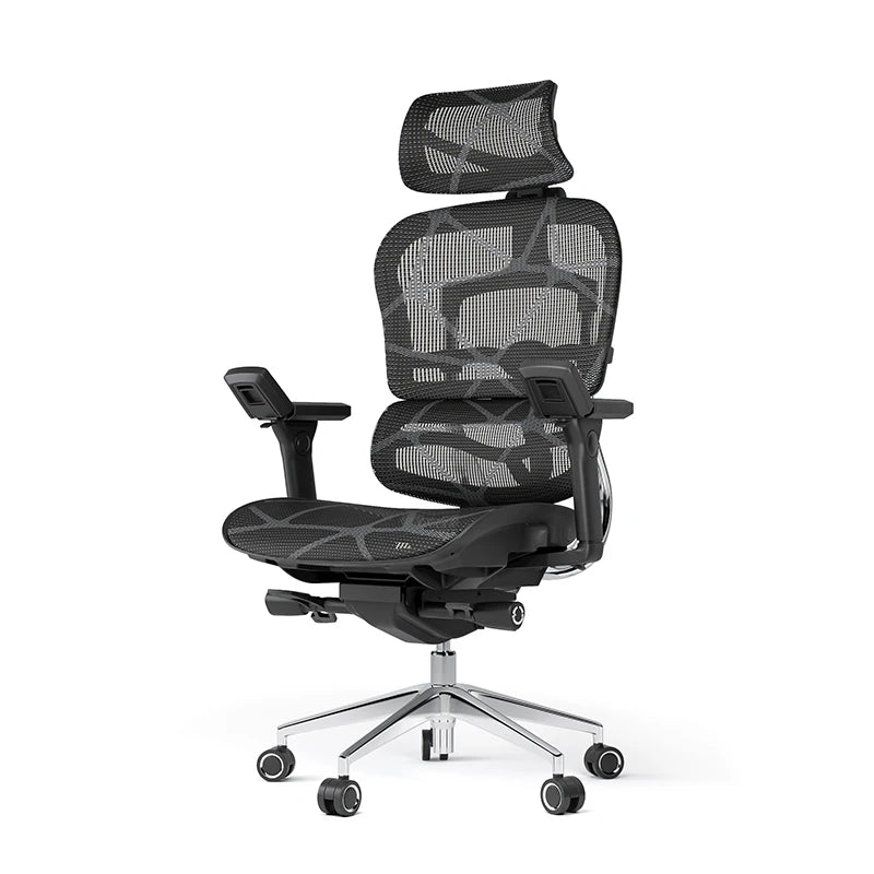 Ergoup Ergonomic Chair Computer Chair Office Boss Waist Gaming Chair Single Office Modern Poltrona Lounge Furniture