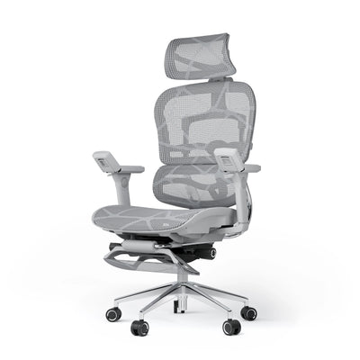 Ergoup Ergonomic Chair Computer Chair Office Boss Waist Gaming Chair Single Office Modern Poltrona Lounge Furniture