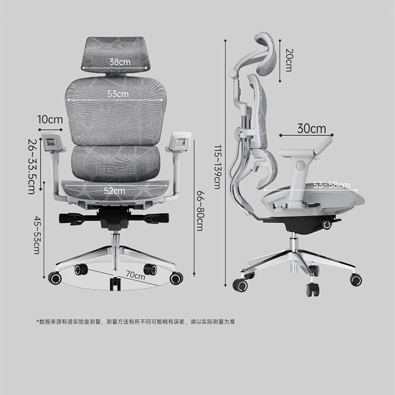 Ergoup Ergonomic Chair Computer Chair Office Boss Waist Gaming Chair Single Office Modern Poltrona Lounge Furniture