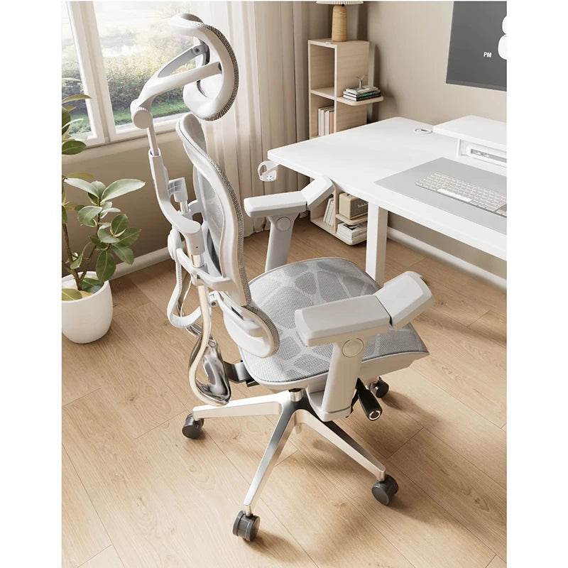 Ergoup Ergonomic Chair Computer Chair Office Boss Waist Gaming Chair Single Office Modern Poltrona Lounge Furniture