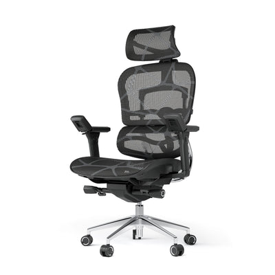 Ergoup Ergonomic Chair Computer Chair Office Boss Waist Gaming Chair Single Office Modern Poltrona Lounge Furniture