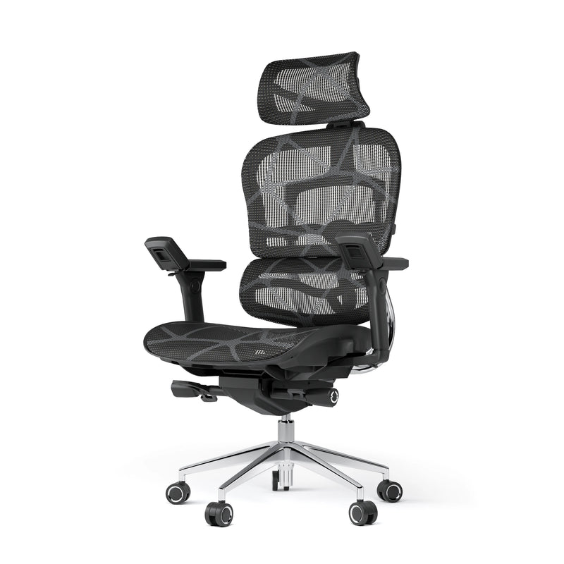 Ergoup Ergonomic Chair Computer Chair Office Boss Waist Gaming Chair Single Office Modern Poltrona Lounge Furniture